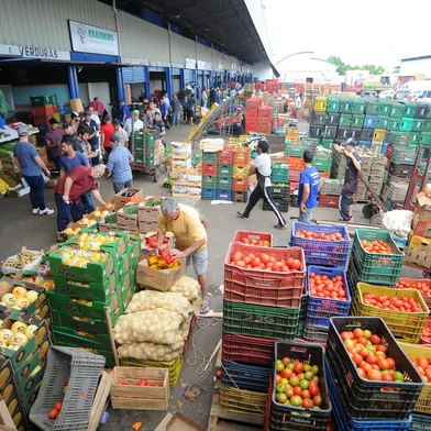  CAXIAS DO SUL, RS, BRASIL 11/10/2018Boxistas da Ceasa Serra reclamam do valor do lance mínimo para continuarem utilizando os espaços para a venda de hortifrutigranjeiros. (Felipe Nyland/Agência RBS)