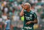 Deyverson dedica gols sobre o Grêmio para menino palmeirense com deficiência visual
