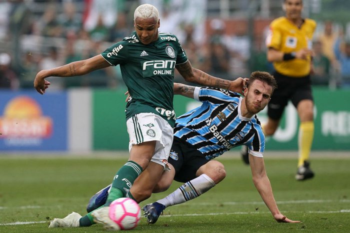 Palmeiras / Divulgação