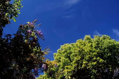  CAXIAS DO SUL, RS, BRASIL, 04/10/2018. Ambiental de clima com tempo bom em Santa Lúcia do Piaí, em Caxias do Sul. (Diogo Sallaberry/Agência RBS)