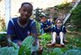 Alunos de Gravataí mantêm horta na escola e produtos são usados na merenda