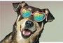 Cães: guia de cuidados para filhotes, adultos e idosos