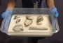 Museu Nacional resgata e identifica 80% das partes do crânio de Luzia