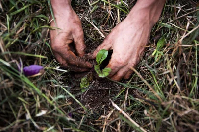ALPESTRE, RS, BRASIL, 24-09-2018: O permacultor e bioconstrutor Neimar Marcos da Silva, conhecido como Marcos Ninguém, planta verduras na horta na sede da Unipermacultura. Ele é o idealizador da Ecovila Dom José, na região norte do RS, um assentamento humano sustentável projetado e executado com base nos princípios de design e na ética da permacultura. (Foto: Mateus Bruxel / Agência RBS)