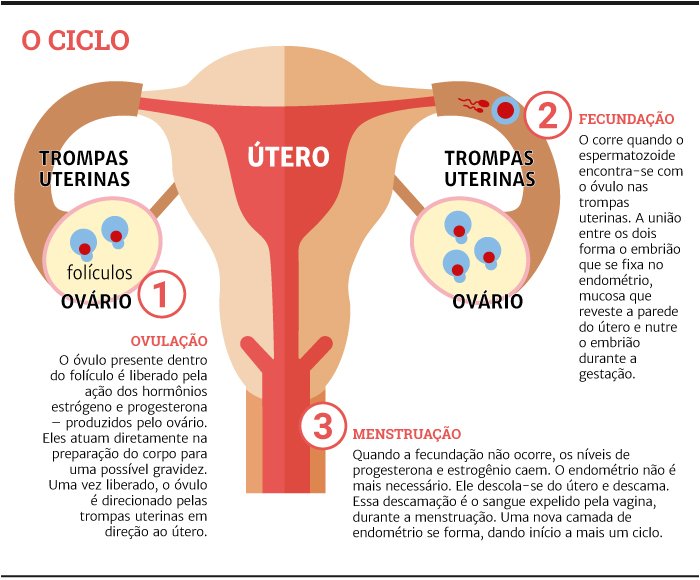 Menstruação desregulada