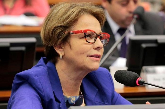 Reprodução / Tereza Cristina Twitter