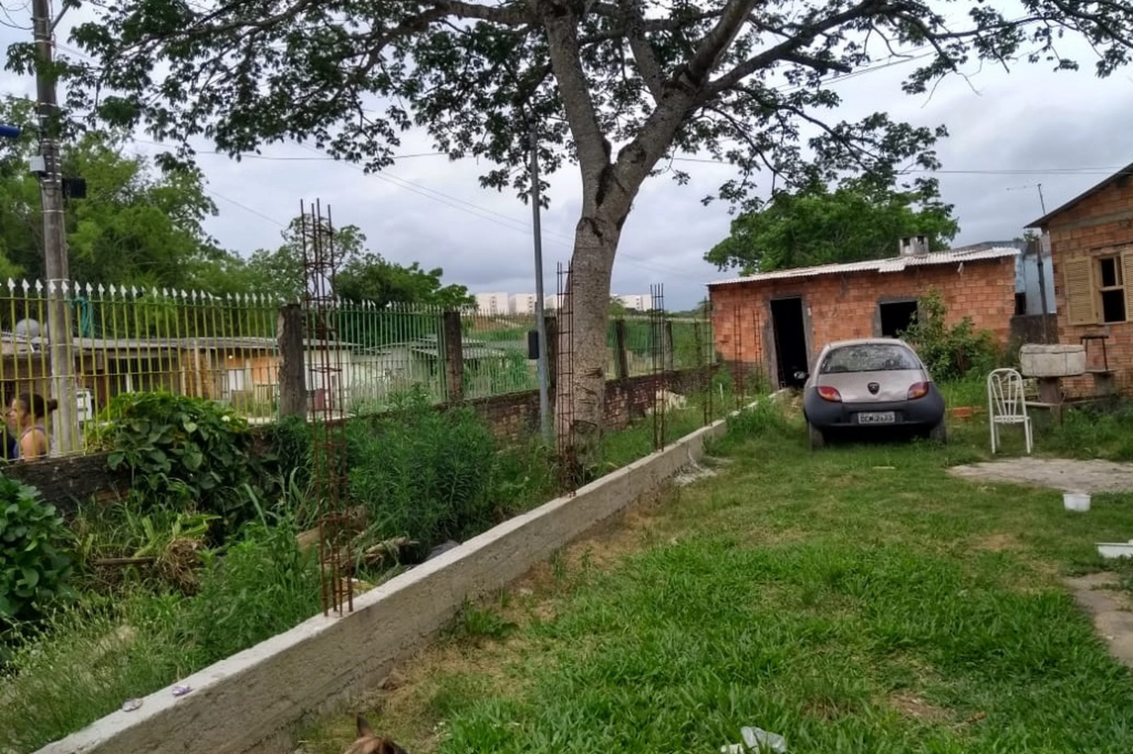 Arquivo Pessoal/Leitor/DG