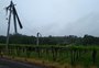  Granizo causa estragos na agricultura em mais de 10 municípios da Serra