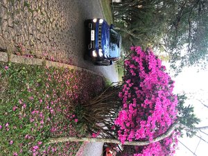 Priscila Nunes / Especial