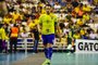 Falcão, futsal, seleção brasileira