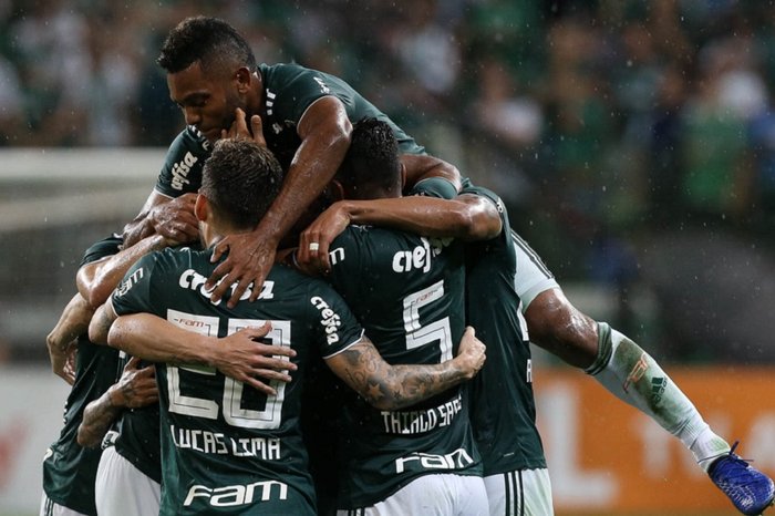 Palmeiras / Divulgação