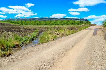 Asfaltamento da Estrada Firmino Frizzo, entre Vila Oliva e Santa Lúcia do Piaí.