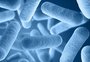 Bactérias multirresistentes a antibióticos mataram 33 mil na União Europeia em 2015