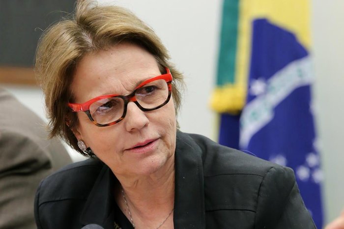 Vinicius Loures / Câmara dos Deputados