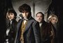 "Animais Fantásticos: Os Crimes de Grindewald" é complexo e deve empolgar fãs da saga Harry Potter