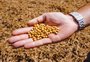Como a trégua entre EUA e China pode impactar o agronegócio