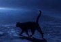 "O Sétimo Guardião": forma do gato León, destaque da novela, começa a ser revelada; veja foto