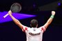  Croatias Marin Cilic celebrates after victory in his singles rubber against Frances Jo-Wilfried Tsonga during the Davis Cup final tennis match between France and Croatia at The Pierry-Mauroy Stadium at Villeneuve dAscq in northern France on November 23, 2018. (Photo by PHILIPPE HUGUEN / AFP)Editoria: SPOLocal: Villeneuve-dAscqIndexador: PHILIPPE HUGUENSecao: tennisFonte: AFPFotógrafo: STF