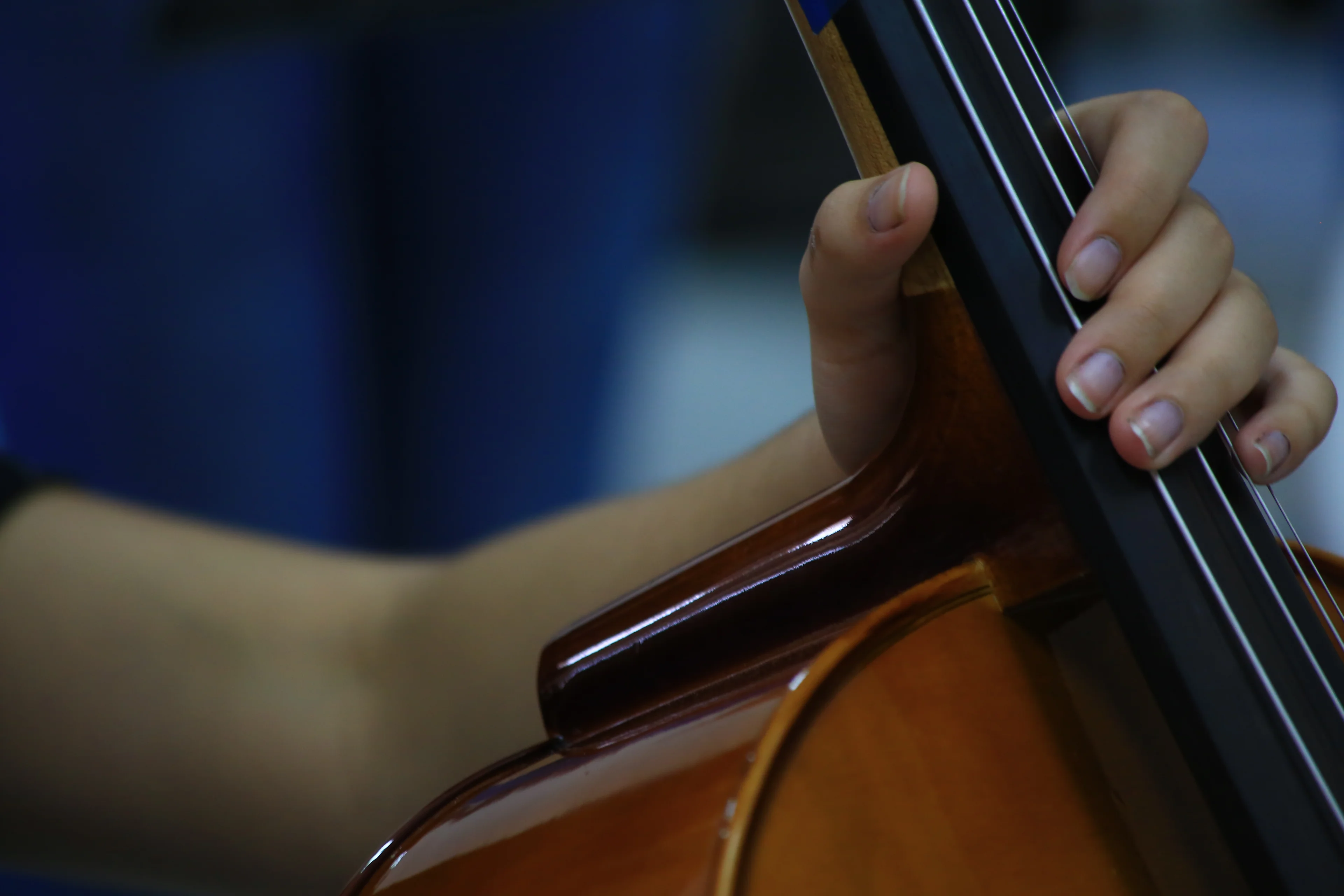 Tadeu Vilani/Agencia RBS