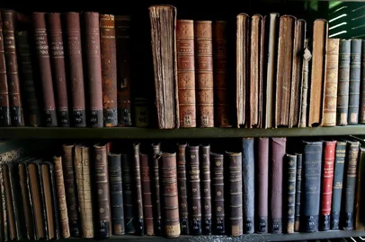 livros, literatura, julio cordeio, biblioteca publica, 
