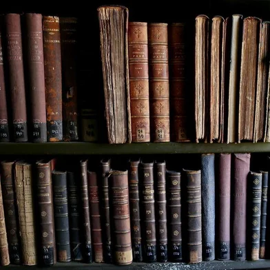 livros, literatura, julio cordeio, biblioteca publica, 