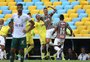 Fluminense vence, permanece na Série A e rebaixa o América-MG 