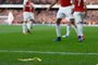  A banana thrown from the crowd is seen at the side of the pitch as Arsenals Gabonese striker Pierre-Emerick Aubameyang (C) celebrates after scoring the opening goal from the penalty spot during the English Premier League football match between Arsenal and Tottenham Hotspur at the Emirates Stadium in London on December 2, 2018. (Photo by Ian KINGTON / IKIMAGES / AFP) / RESTRICTED TO EDITORIAL USE. No use with unauthorized audio, video, data, fixture lists, club/league logos or live services. Online in-match use limited to 45 images, no video emulation. No use in betting, games or single club/league/player publications.Editoria: SPOLocal: LondonIndexador: IAN KINGTONSecao: soccerFonte: IKIMAGESFotógrafo: STR