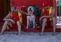Primeiro cão guarda-vidas do Brasil é aposentado pelo Corpo de Bombeiros de SC