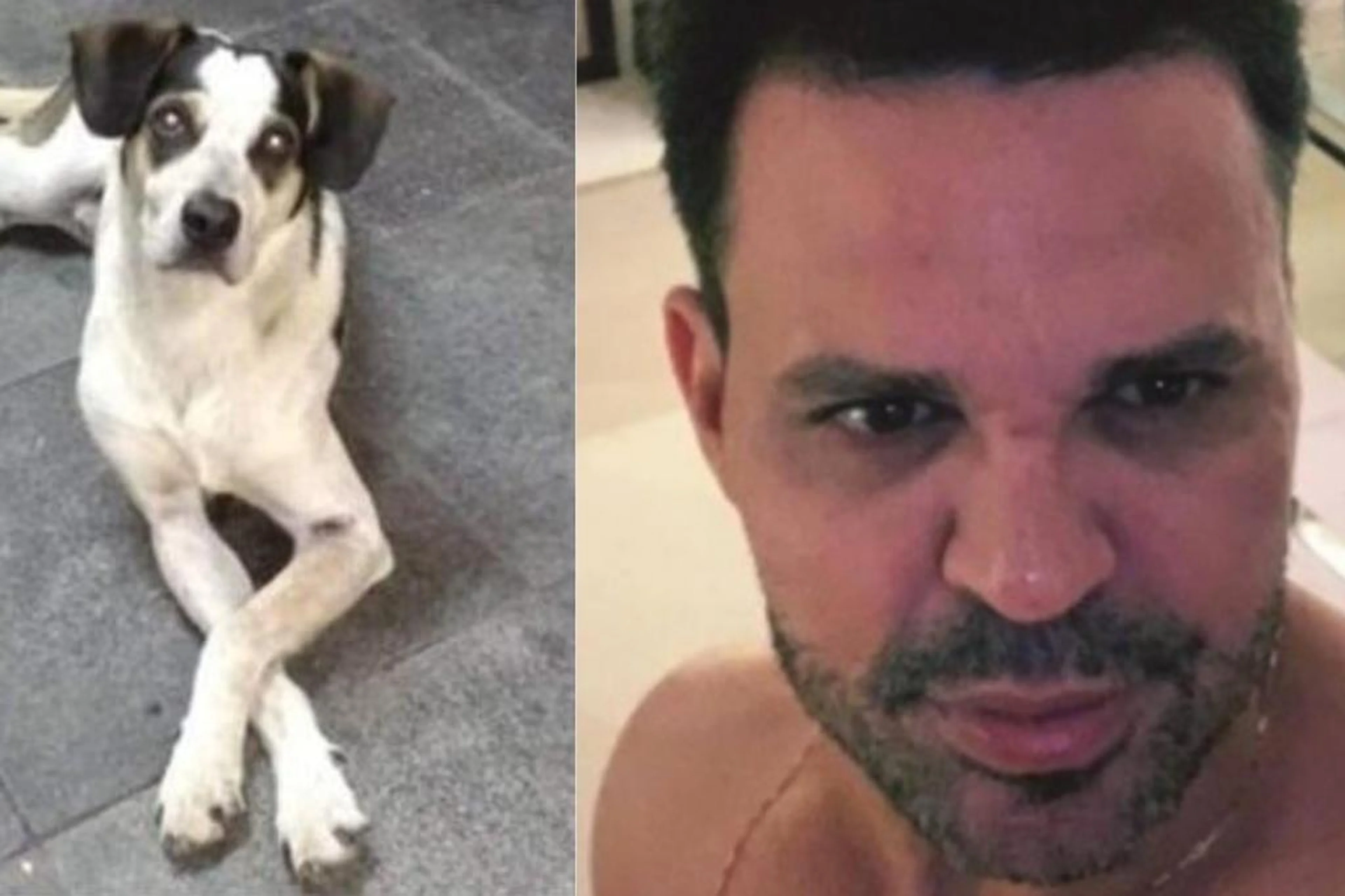Colagem/Reprodução