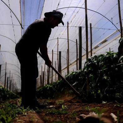  CAXIAS DO SUL, RS, BRASIL 05/12/2018Desde 2014, em dezembro, é promovido no País a Campanha Dezembro Laranja, alusiva a cuidados para prevenir o câncer de pele. Na foto: O agricultor Valderez Antônio Formigueri, 50 anos, foi diagnosticado com melanoma em 2013. (Felipe Nyland/Agência RBS)