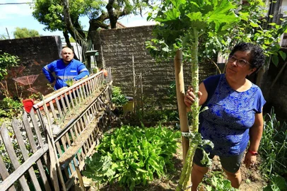  CANOAS, RS, BRASIL, 09-12-2018: Gerson Mata e a mãe dele, Maria Fialho, na horta que mantêm em casa, na rua Garibaldi, bairro Niterói, em Canoas. Eles não podem mais consumir os alimentos que plantam no terreno há pelo menos seis anos, pois a região está contaminada por cromo. Empresas localizadas na área são suspeitas. (Foto: Mateus Bruxel / Agência RBS)