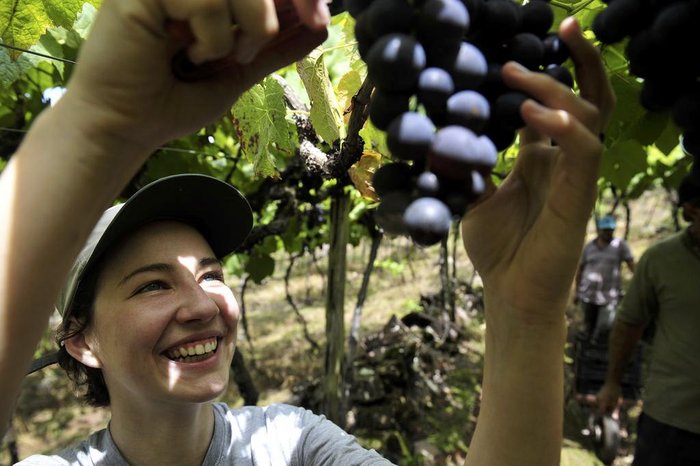 Lucas Amorelli / Agencia RBS