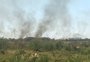 Bombeiros combatem incêndio em matagal em Eldorado do Sul