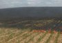 Incêndio em lavoura destrói 10 hectares de soja em Júlio de Castilhos