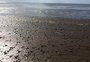 Em busca de explicações para lama na praia do Cassino