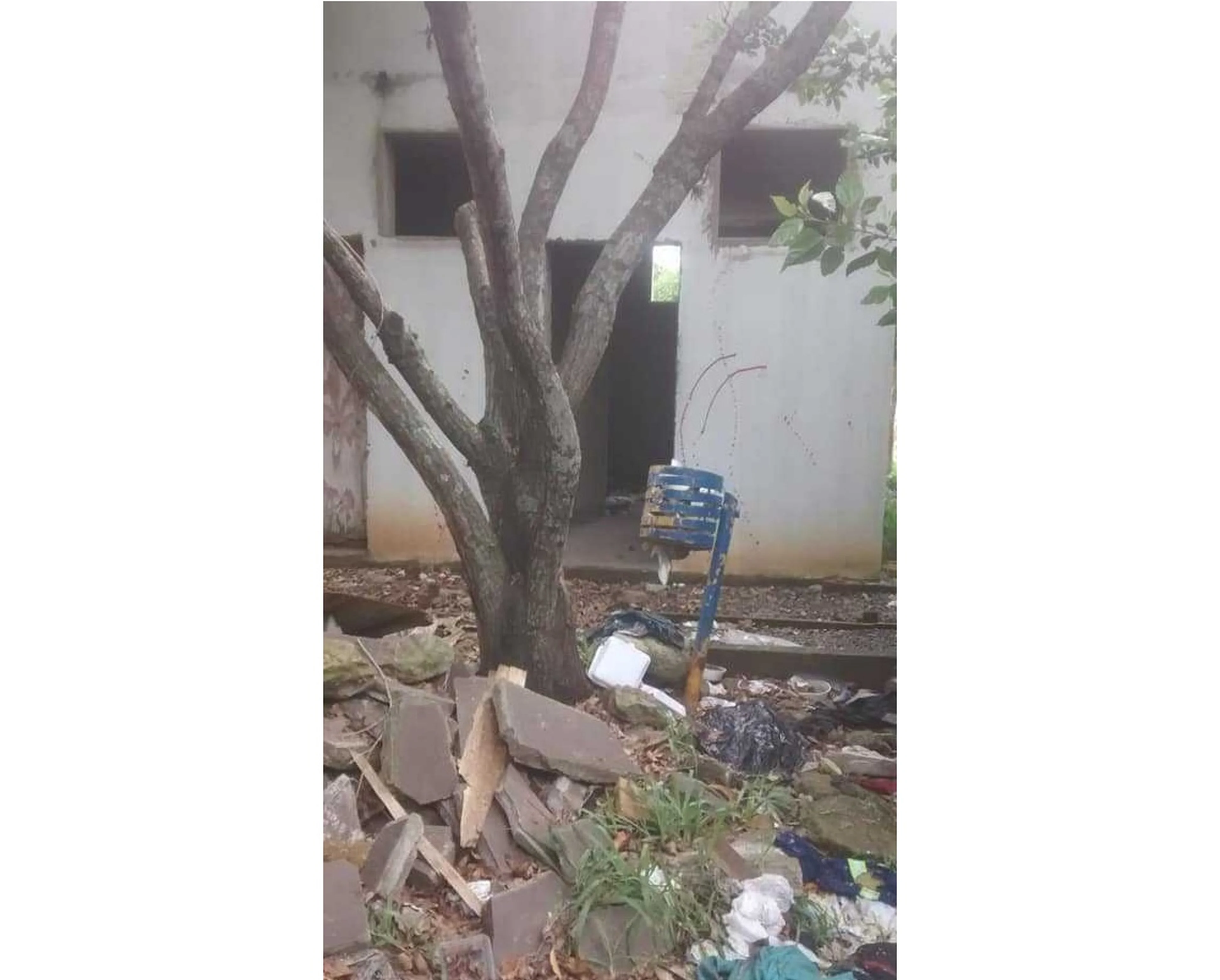 LeitorDG/Arquivo Pessoal