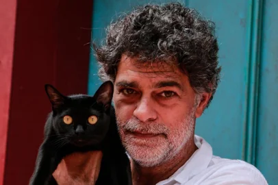 du moscovis, gato león, o sétimo guardião