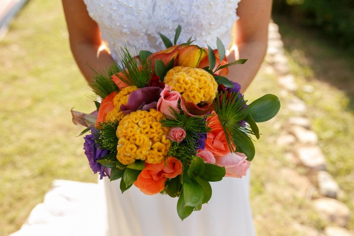 Já imaginou ter um casamento sustentável? A Sogipa tem o lugar