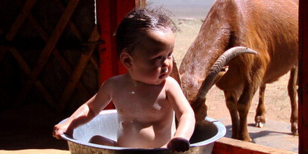 Documentário francês 'Bebês' retrata quatro crianças do mundo - Rede Brasil  Atual