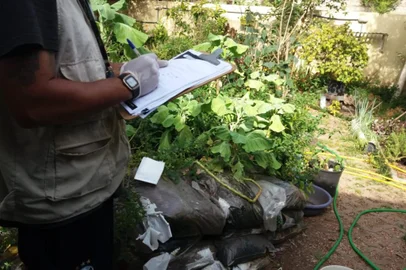 Com a falta de informações sobre a extensão e a gravidade da contaminação do solo por cromo VI, um metal pesado, moradores do bairro Niterói, em Canoas, começam a contratar testes particulares para verificar a qualidade das suas hortas e pomares. na foto, quintal do paulo marques