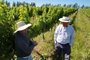  DOM PEDRITO, RS, BRASIL, 06/12/2018 - Produtores de uvas e oliveiras  estão tendo prejuízos na lavoura, por causa do uso do herbicida 2,4 D usado pelos produtores de soja. Na foto - Estância Guatambu, em Dom Pedrito. A diereita- Proprietário Valter José Pöttere o Agrônomo responsável Javier Gonzalez. (FOTOGRAFO: FERNANDO GOMES / AGENCIA RBS)