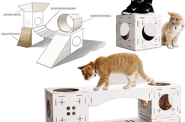 malha para gatos - Divertido Jogo em Forma S para Interação Gatos Internos  com Brinquedos Provocantes,Suprimentos para animais estimação tubos  bigotorcidos : : Pet Shop