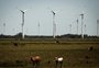 Energia eólica no RS trava à espera de investimentos em linhas de transmissão