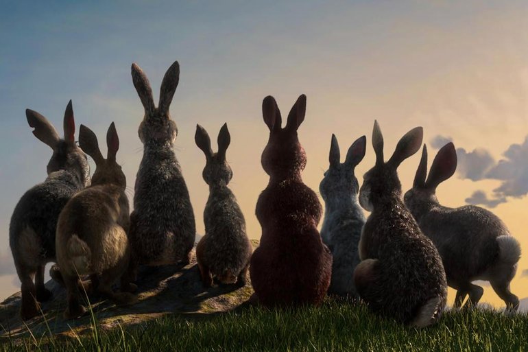 Divulgação / Netflix