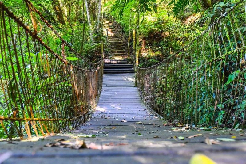 Ao contrário de anos anteriores, o Parque Mato Sartori, em Caxias do Sul, ficará aberto à comunidade no mês de janeiro. Os visitantes poderão fazer visitas guiadas com educadores ambientais às 9h e às 14h, de segunda a sexta-feira. 