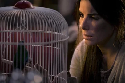 Bird Box, Netflix, Sandra Bullock, Susanne Bier