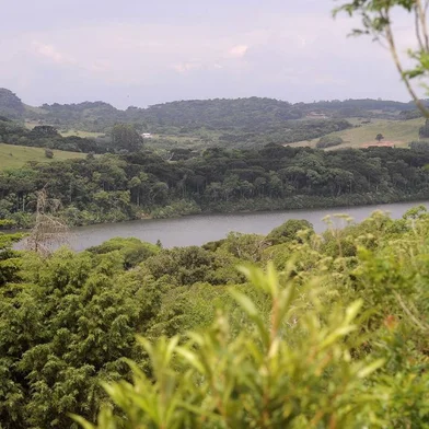  CAXIAS DO SUL, RS, BRASIL, 12/12/2018 - Reportagem do Pioneiro verifica como estão as áreas preservadas pelo Samae como forma de compensar o impacto ambiental das obras da barragem do Marrecas. NA FOTO: lago do Marrecas, com faixa de 100 metros de Área de Preservação Permanente no entorno e áreas de compensação ambiental. (Marcelo Casagrande/Agência RBS)