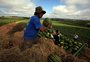 Aposentadoria rural aos 60 anos para homens e mulheres divide entidades do setor