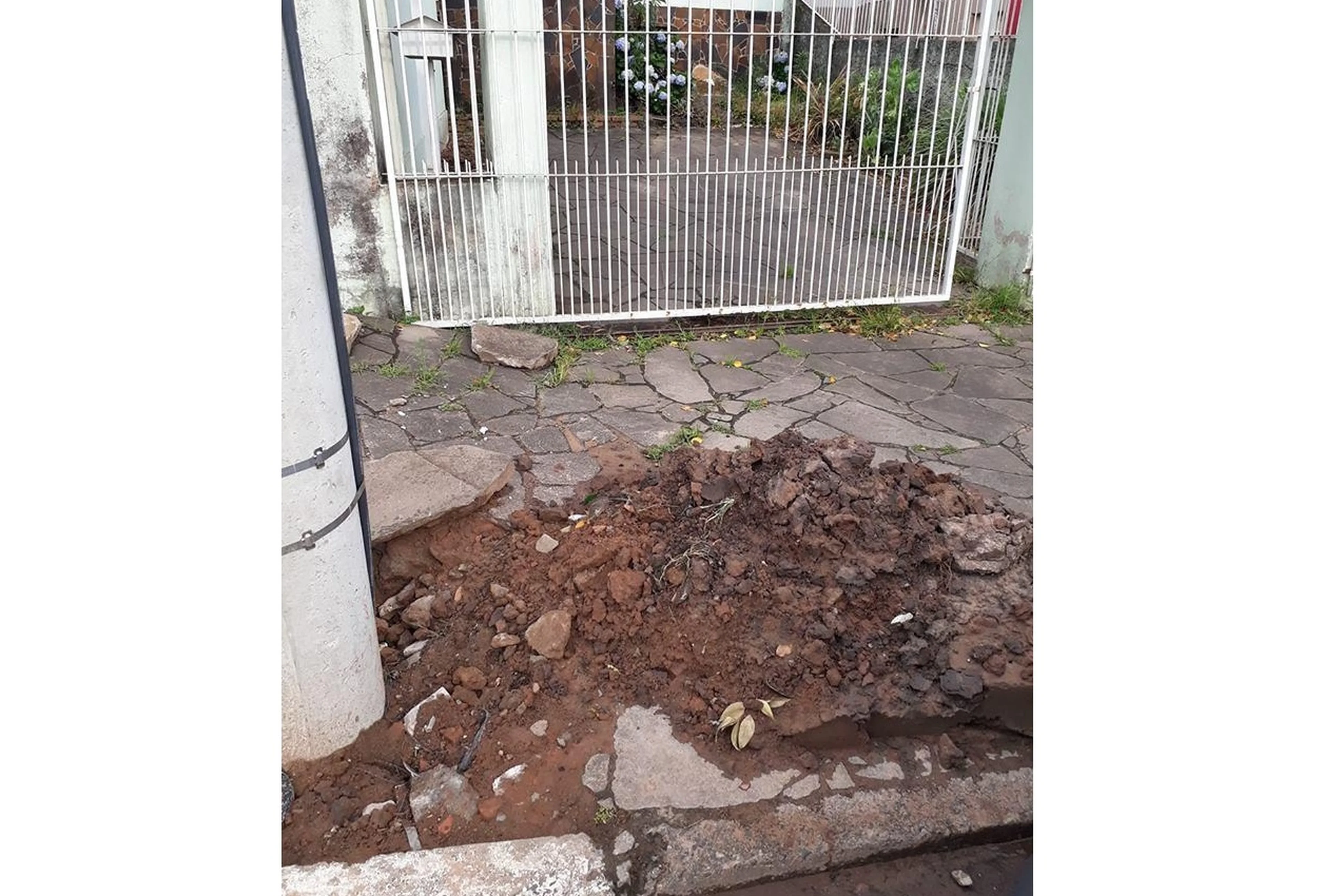 LeitorDG/Arquivo Pessoal