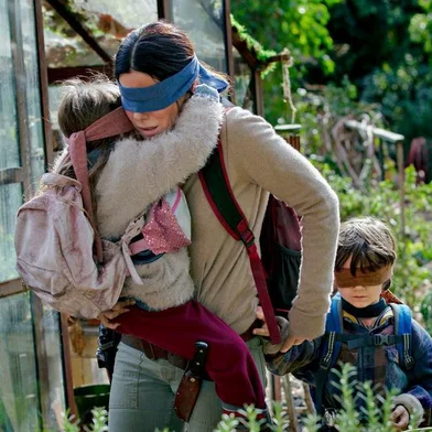 Bird Box